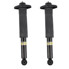 2Pcs Rear Complete Shocks Absorber W/ Bushings Fits Nissan Murano 2009-2014 3.5L