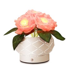 Roses Flower Touch Table Lamp Rechargeable Cordless 3Color Dimming Night
