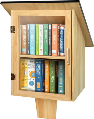 Outdoor Library Book Box, Double Little Library for Sharing Books, DIY Storage W
