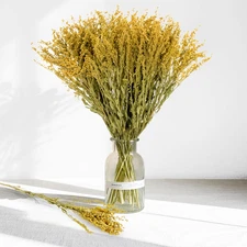 50 Pcs Dried Flowers for Vase -Natural Dried Flower Bouquet Natural Bulk Dry Flo