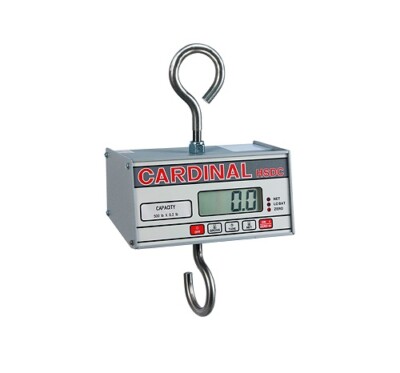 Detecto HSDC-20 Electronic 20 Lb Capacity Hanging Scale