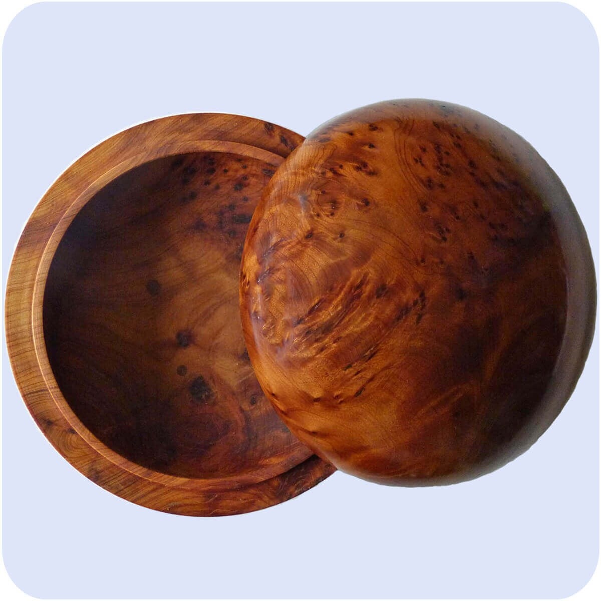 Thuja Holz Schatulle Dose Schmuckdose Holzschachtel fr Schmuck aus  Wurzelholz | eBay