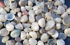 TUMBLED RUTILATED QUARTZ MIXED SIZE WHOLESALE LOT BULK STONES 3 LBS