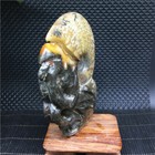 Bild 6 von 11