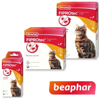 Cat Flea Treatment BEAPHAR FIPROTEC Spot On Flea / Tick Solution Cats over 1kg
