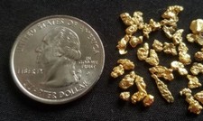 GOLD RUSH! (1) Authentic Alaskan Yukon Gold Nugget / Genuine Natural Ore