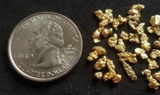 GOLD RUSH! (1) Authentic Alaskan Yukon Gold Nugget / Genuine Natural Ore