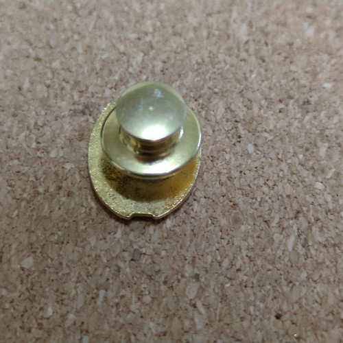 MESPA Minnesota Elementary School Principals Association Lapel Pin Back - Picture 2 of 3
