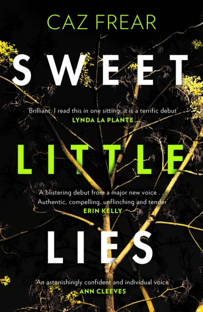 Sweet Little Lies by Caz Frear (Paperback Book)