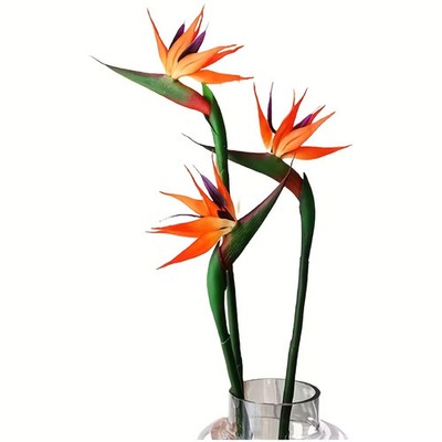 3Pcs Artificial Bird of Paradise Flowers 24.5'' Long Stem Strelitzia Decor