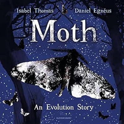 Moth : An Evolution Story Paperback Isabel Thomas