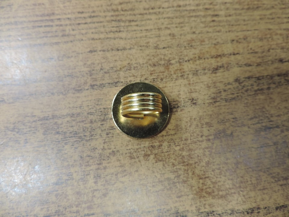 Houston Livestock Show and Rodeo Ring Champion Buyer 2008 Neckerchief ...