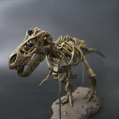T-Rex Dinosaurier Skelett Modell - großes fossiles Spielzeug zum Selbermachen zum Zusammenbauen & Ausstellen