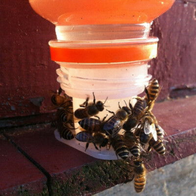 3Stk Bienenfütterung Füttern Tränken Von Bienen Bienentränke Imkerei | eBay