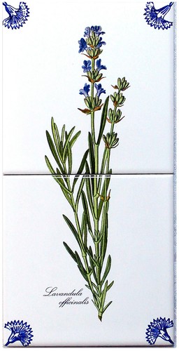 Fliesen nach Art: "Delfter Kacheln" blau/weiß auf 15x15 Fliesen mit Kräutermotiv - Picture 3 of 9