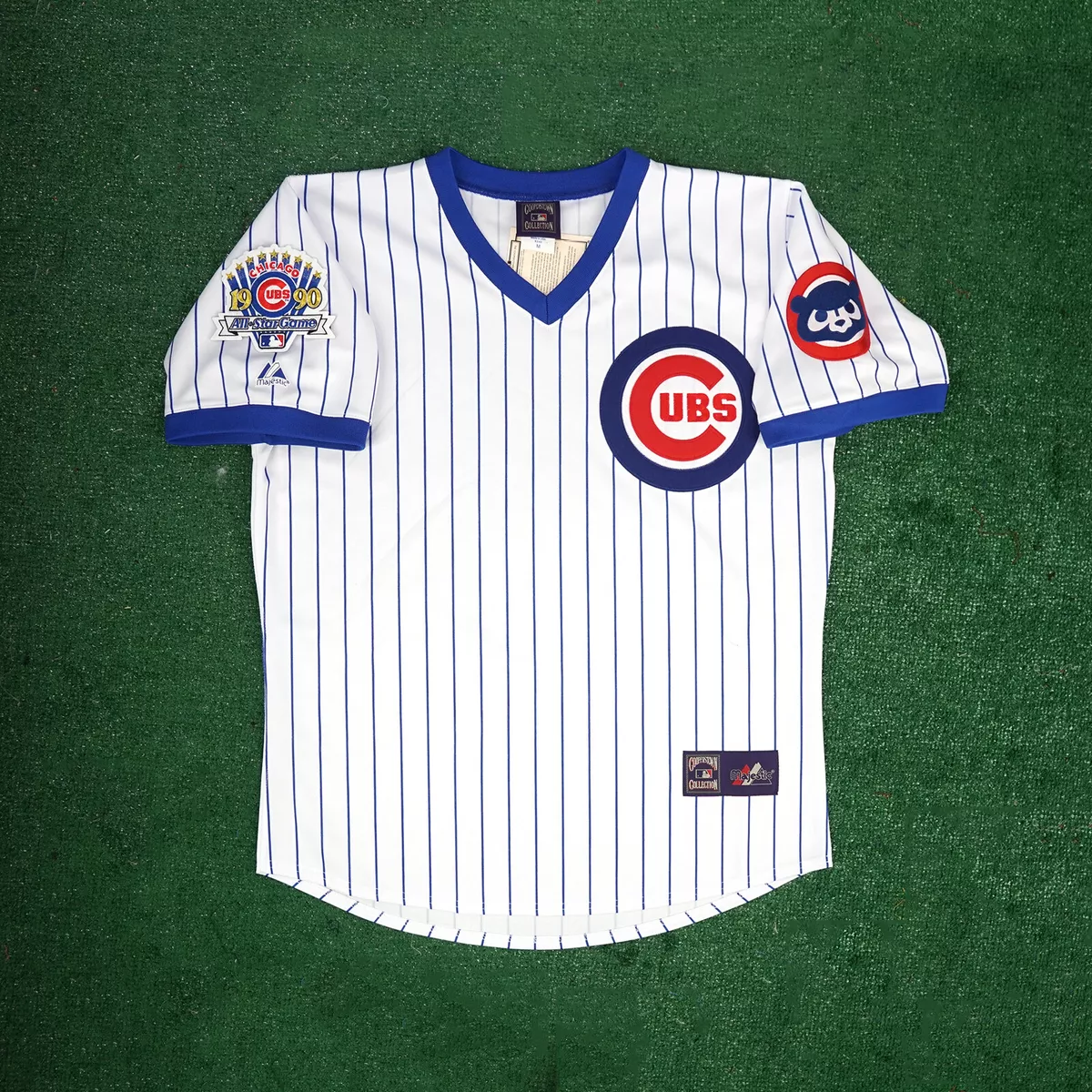 Lids Authentic MLB Apparel Chicago Cubs Men's Scenic Print Short