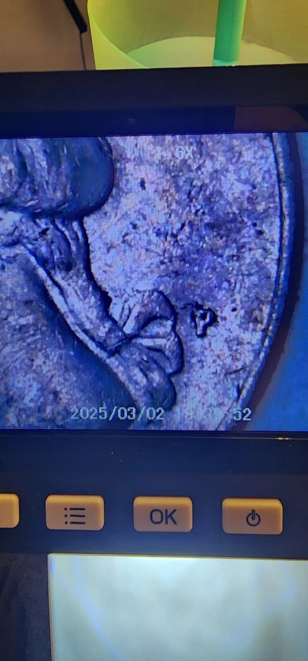 P Washington 1986 cuarto error Foto 3 de 4