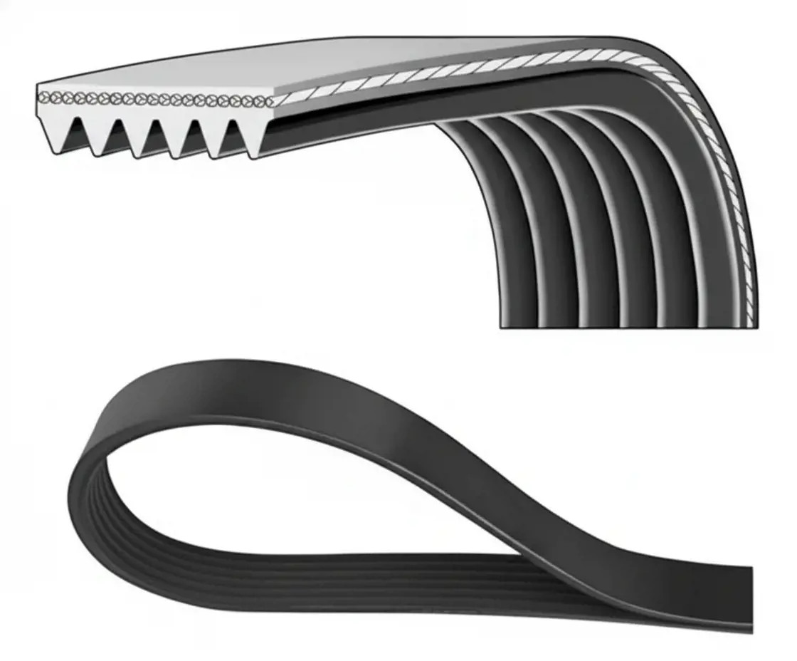 DAYCO 6PK841 Cinghia Poly-V - Immagine 2