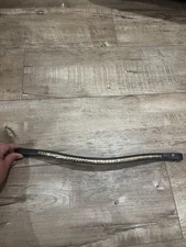 Full Sized Brown Browband With Gold Clincher