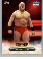 2020 Topps NXT WWE Wrestling Insert Trading Cards Pick From List