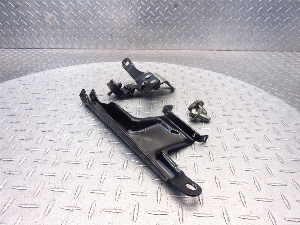 Harley-Davidson Heritage Softail Classic 2008 08 soportes de motor FLSTC soportes Foto 4 de 4