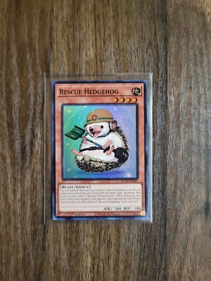 Yu-Gi-Oh! Rescue Hedgehog ROTA EN097  1st Edition NM