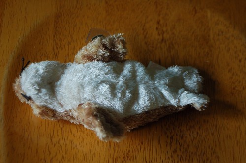FINS the Brown Spotted Baby SEAL - Sealife - Ty Beanie Baby - MWMT - Silky Soft - Picture 6 of 6