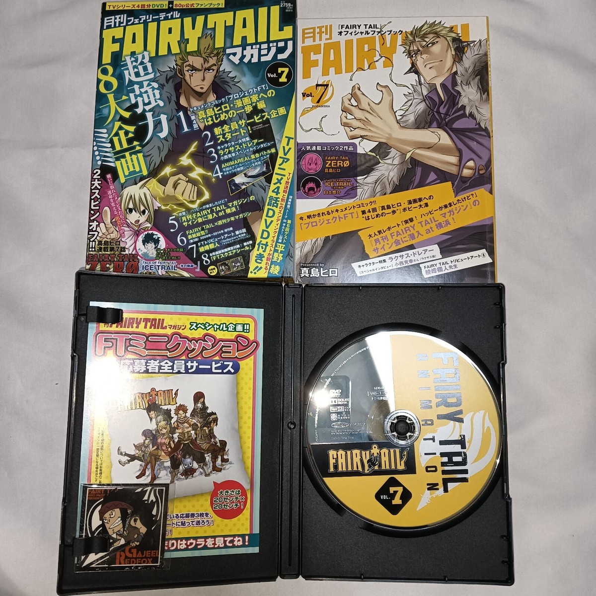 月刊 FAIRY TAIL マガジン Vol.1〜13 全巻 セット Monthly Fairy Tail Magazine vol.1-13 complete set All 1st edition