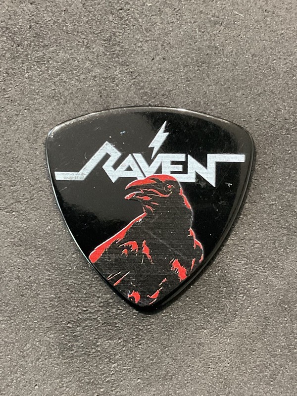 Mark Gallagher RAVEN Wiped Out Logo Signature Guitar Pick (O)