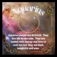Aquarius People Are BadAss They Live Life To The Max Zodiac Sign-MAGNET