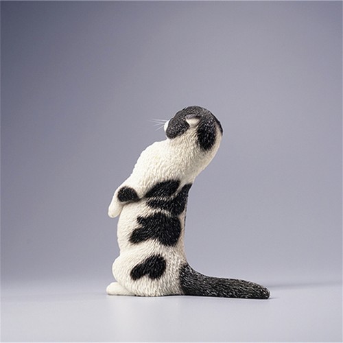 JXK 1/6 Scottish Fold Model Cute Cat 2.0 Animal Collector Decor GK Kids Toy Gift - Picture 26 of 29