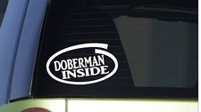 Doberman Inside I289 8" wide Sticker decal dog training puppy pinscher