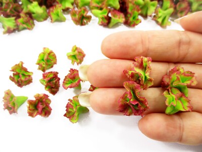 Dollhouse Miniatures Food Lot 100 Loose Red Lettuce Salad Vegetable 16368