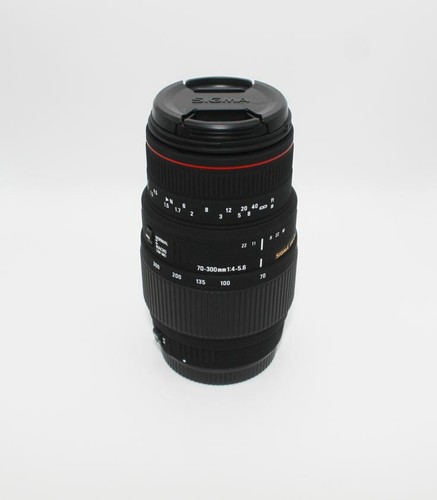 Sigma 70-300mm f/4-5.6 DG APO Macro Telephoto Zoom Lens for Canon SLR Cameras - Picture 9 of 10