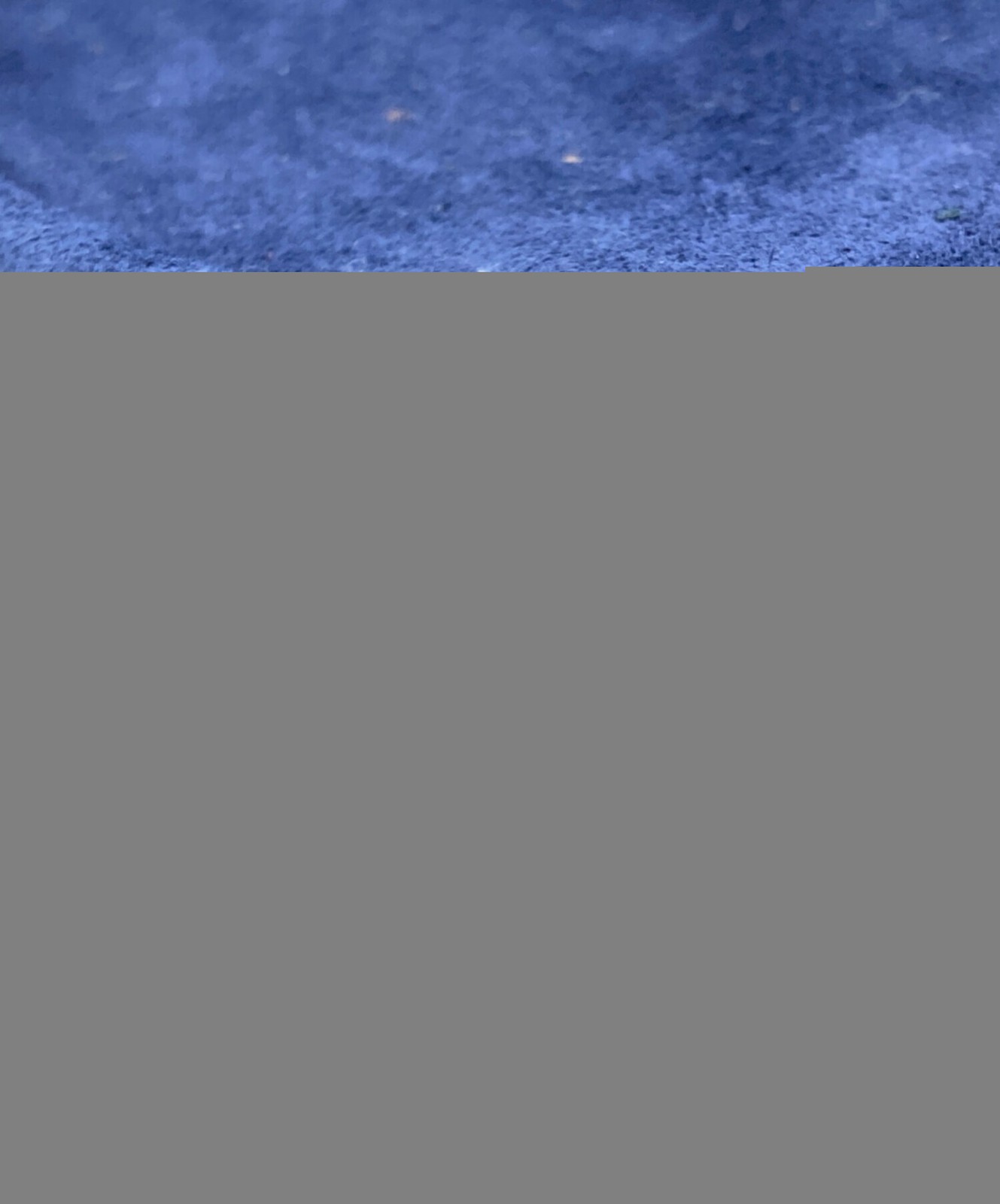 GUCCI Short Boots Shoes Horsebit EU 36 US 6 Suede Navy Auth Excellent From JAPAN thumbnail 12