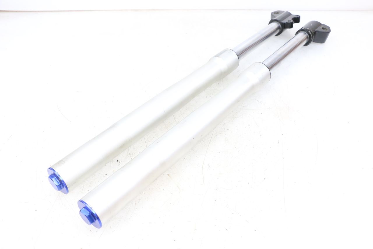 FORKS LEG - APOLLO RFZ 140