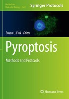 Susan L. Fink | Pyroptosis | Taschenbuch | Englisch (2024) | Xi | Humana