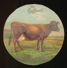 1890-1900 Church & Dwight "Arm & Hammer" & Cow Brand -COW BRAND AD HANGER -trim