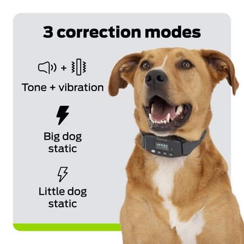 Premier Pet GPS Dog Fence Collar - Circular Wireless Boundary - Portable Wireles - 第 3/8 張圖片