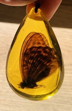 Polyber Amber Variety Pendant with Chain Inclusion Butterfly Butterfly