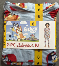 Bluey 2 Piece Pajama Set Unisex Size 6 Blue Colorful Comfy