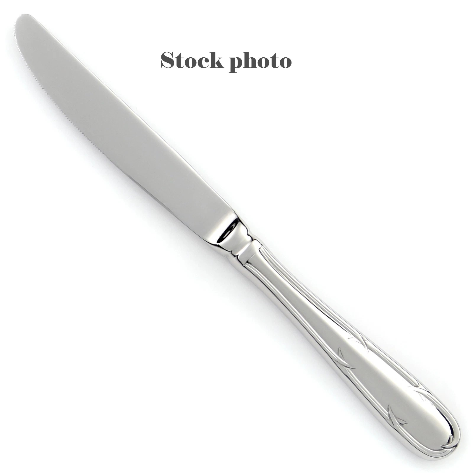 Mikasa WELLINGTON Stainless Glossy Set of 12 Dinner Knives 9 1/2-inch Elegant