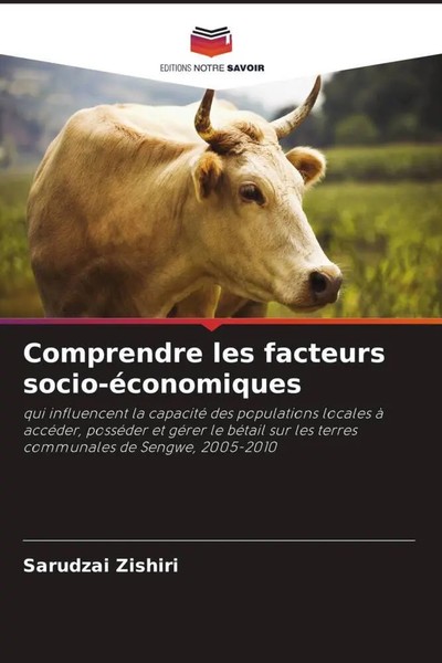 Sarudzai Zishiri | Comprendre Les Facteurs Socio-éConomiques | Taschenbuch-image