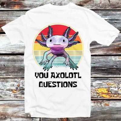 You Axolotl Questions DND Online Gamer D20 90s 8Bit T-Shirt B675