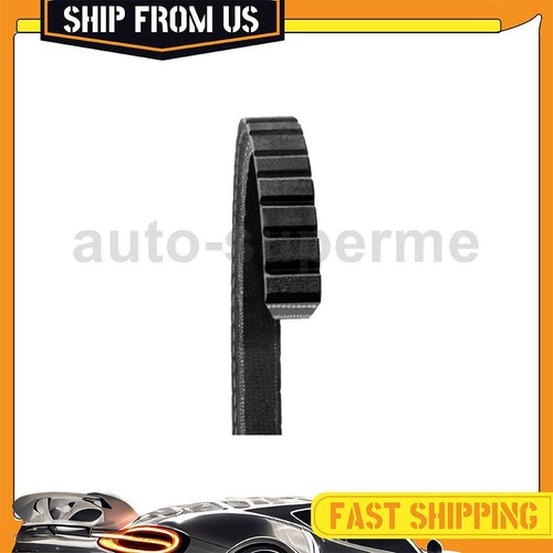 Accessory Drive Belt Water Pump,Alternator and Air Pump For 1988 Yugo GVS 1.1L