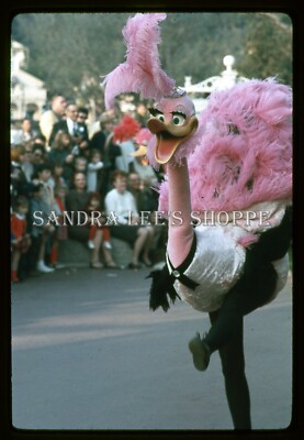 1966 Slide Disneyland Fantasy On Parade Fantasia Pink Ostrich