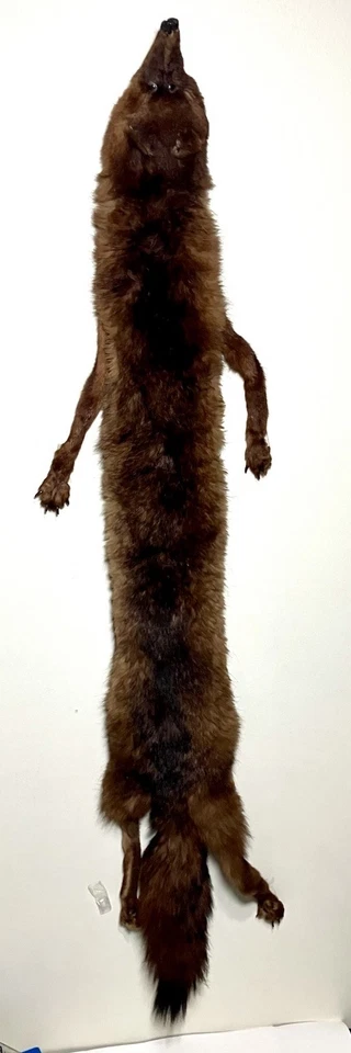 "Bufanda envolvente vintage de piel de visón real con estola cabeza cuerpo piernas pies cola marrón 51"" de largo" Foto 2 de 4