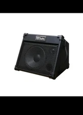 40W Portable Acoustic Guitar Amplifier(Amp) with Bluetooth, Cool Music BP40