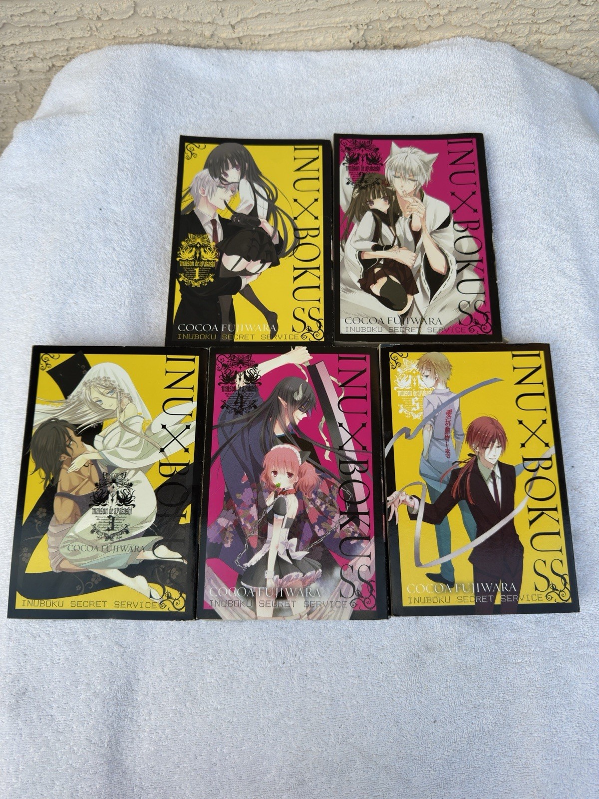 Manga Inu X Boku Ss 1-5