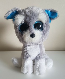schnauzer beanie boo